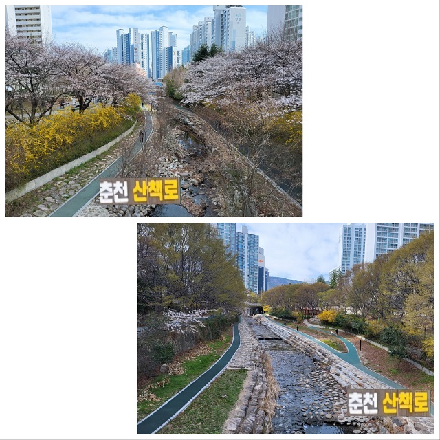 산책로 모음